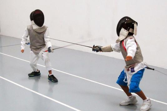 Fencing.jpg